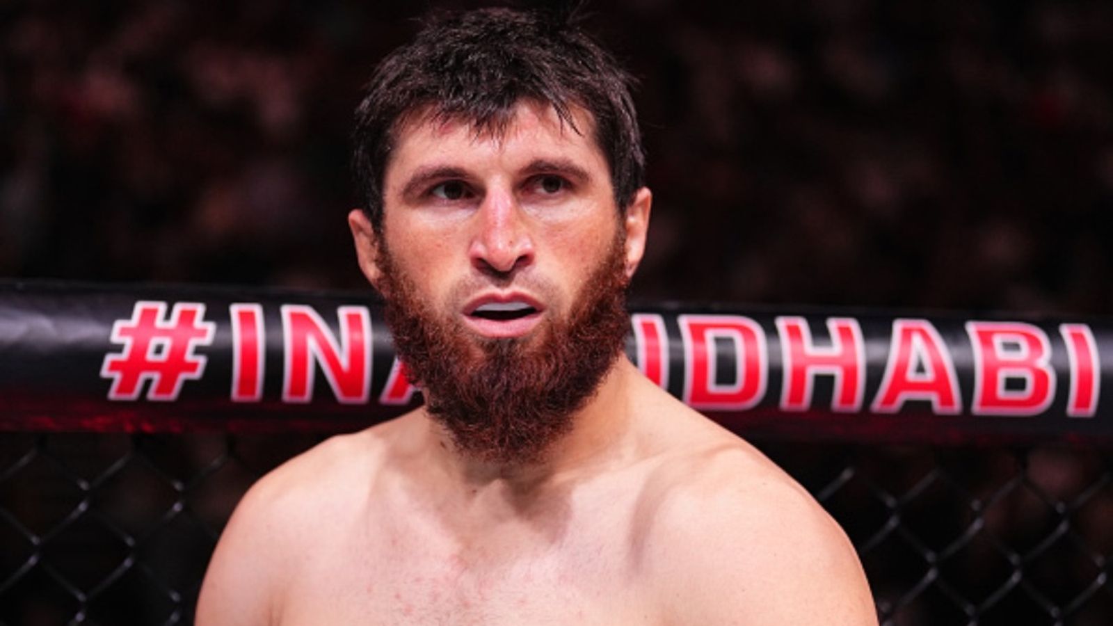Magomed Ankalaev fires back at light heavyweight star’s bold callout after becoming world champion against Alex Pereira Magomed Ankalaev in the frame (via Getty)