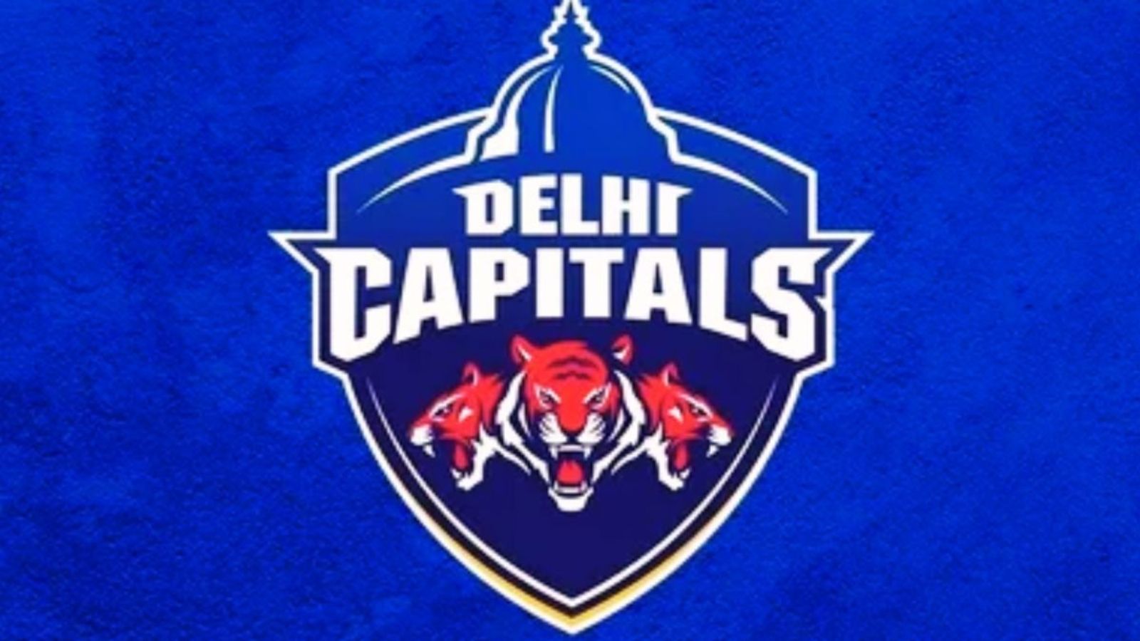 Delhi Capitals appoint India's Champions Trophy hero as their new captain for IPL 2025 Delhi Capitals logo in frame