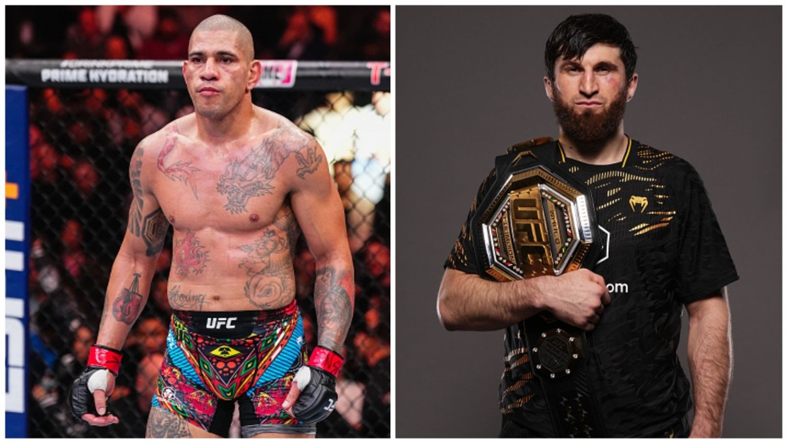 Alex Pereira reacts to Magomed Ankalaev's rematch callout amid cheating allegations Alex Pereira reacts to Magomed Ankalaev's rematch callout amid cheating allegations