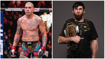 Alex Pereira reacts to Magomed Ankalaev's rematch callout amid cheating allegations Alex Pereira reacts to Magomed Ankalaev's rematch callout amid cheating allegations