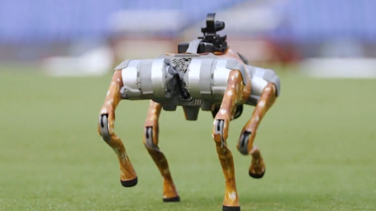 IPL introduces new special member, robot dog becomes part of broadcast coverage IPL introduces new special member, robot dog becomes part of broadcast coverage