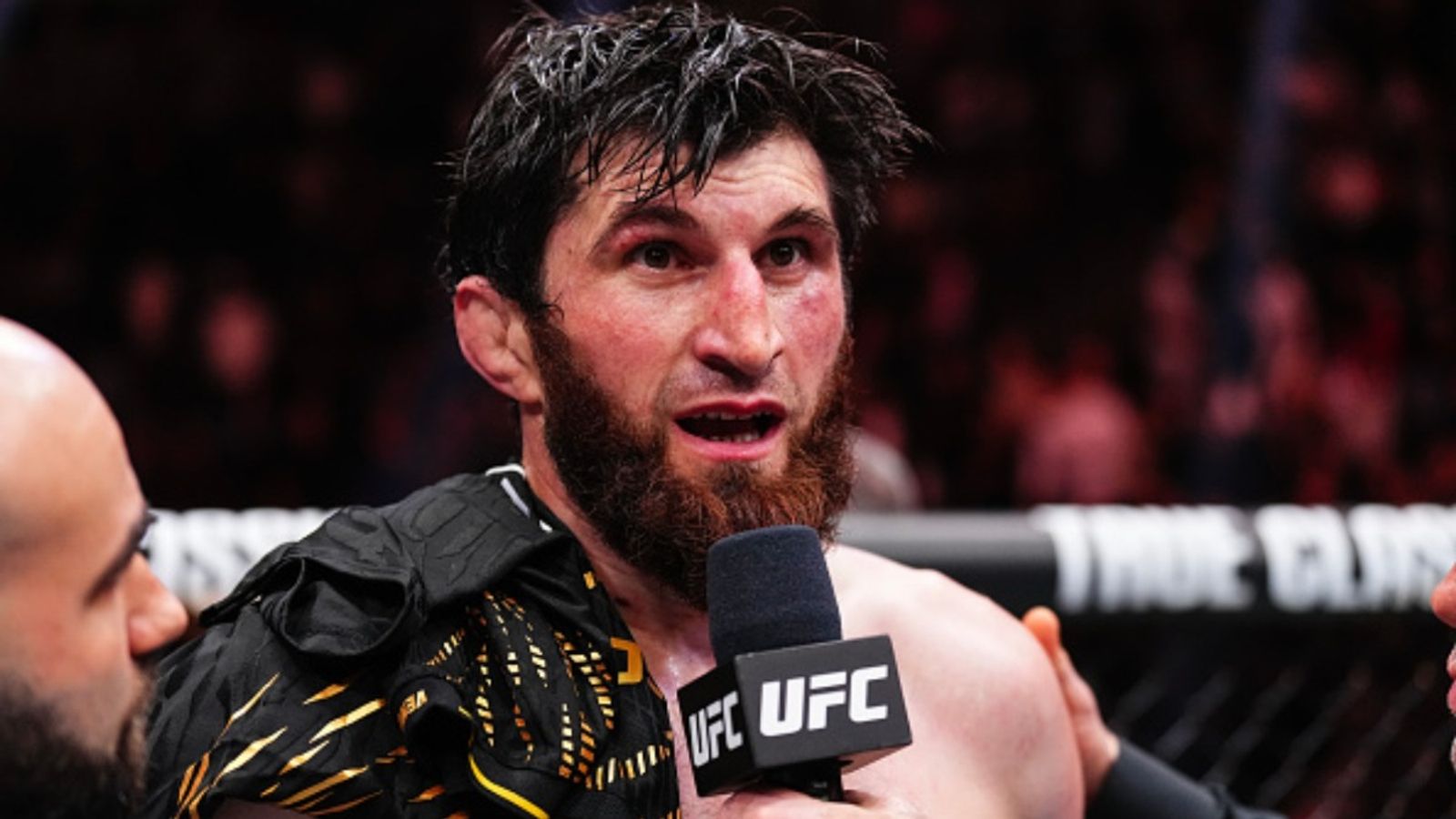 Magomed Ankalaev’s bold lightweight title call-out answered by a surprising UFC contender Magomed Ankalaev’s bold lightweight title call-out answered by a surprising UFC contender