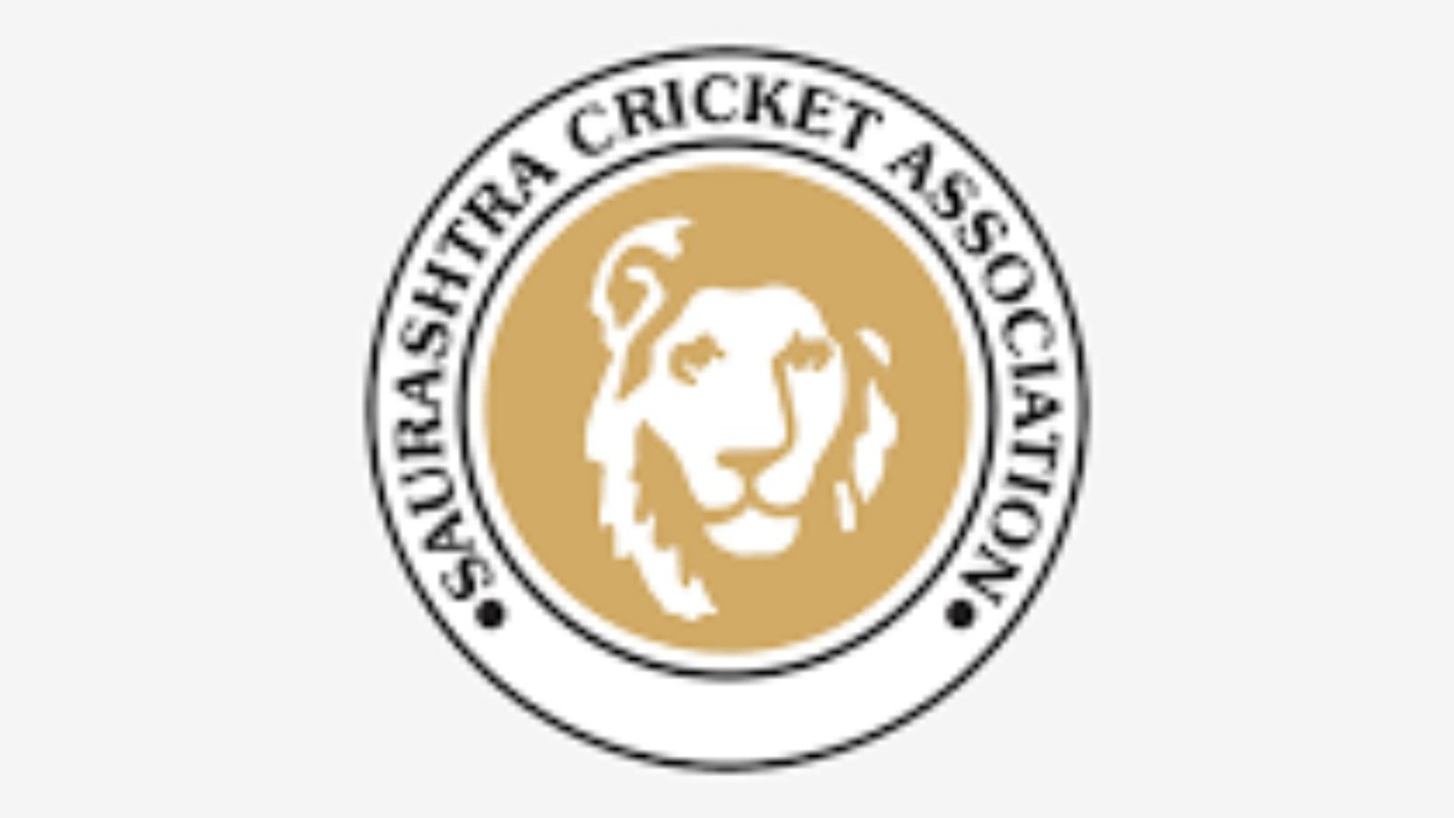 Saurashtra Cricket Association announces franchise-based Pro T20 League Saurashtra Cricket Association announces franchise-based Pro T20 League