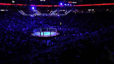 Is there a UFC Fight Night happening this Saturday? UFC Octagon