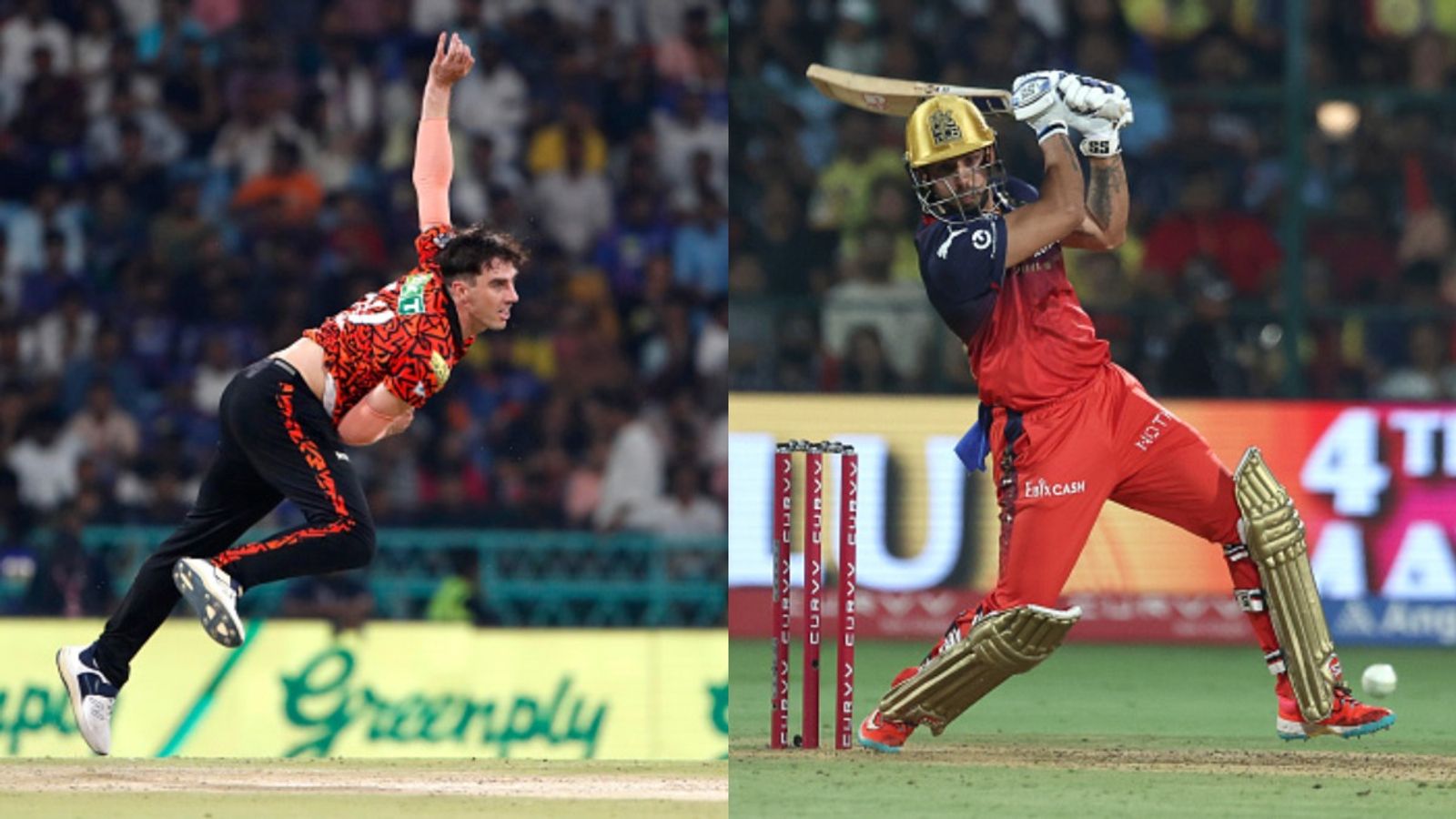 RCB vs SRH Toss Update: RCB opt to bowl first against SRH; Know playing XIs of both teams SRH's Pat Cummins (L) and RCB's Jitesh Sharma in frame