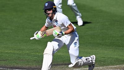 'David Warner retired nearly two years ago and we haven't really found a replacement': Former Australia captain questions exclusion of this young batter Sam Konstas