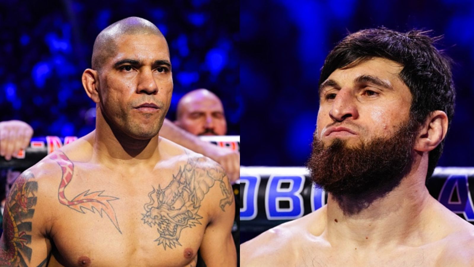 UFC veteran shares what Alex Pereira needs to overcome Magomed Ankalaev and regain light heavyweight gold UFC veteran shares what Alex Pereira needs to overcome Magomed Ankalaev and regain light heavyweight gold
