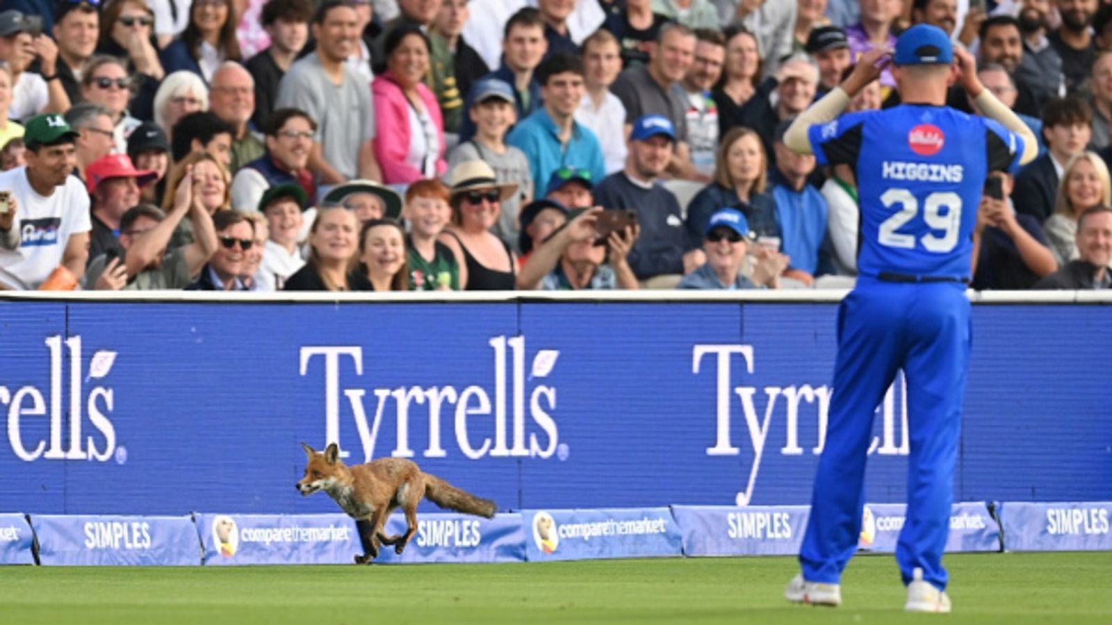 Fox interrupts play in The Hundred Opener between Kane Williamson and Sam Billings' sides at The Lord's; video goes viral A fox runs around the edge of the field and past Ryan Higgins of London Spirit during the The Hundred match between London Spirit Men and Oval Invincibles Men at Lord's Cricket Ground on August 05, 2025 in London, England.