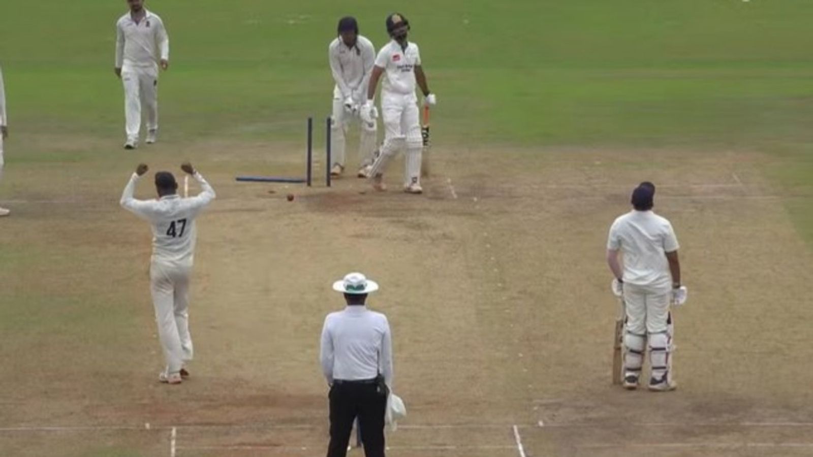 CSK captain Ruturaj Gaikwad's middle stump uprooted in comeback game, departs for 1 in Buchi Babu clash; watch video CSK captain Ruturaj Gaikwad's middle stump uprooted in comeback game, departs for 1 in Buchi Babu clash; watch video