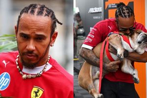‘Lost my best friend last night’ Lewis Hamilton confirms passing of beloved dog Roscoe SportsTak