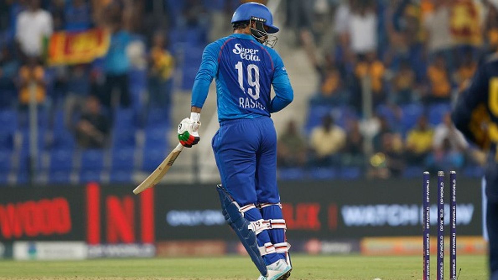 ICC announces Men's Player of the Month nominees for October, Indians miss out; Afghanistan superstar makes a cut Afghanistan superstar all-rounder Rashid Khan in this frame