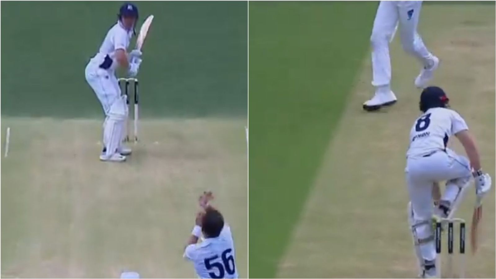 WATCH: Starc bowls toe-crushing yorker & takes 4-fer on red-ball return, Hazlewood remains wicketless as discarded batter smashes ton vs Smith's NSW WATCH: Starc bowls toe-crushing yorker & takes 4-fer on red-ball return, Hazlewood remains wicketless as discarded batter smashes ton vs Smith's NSW