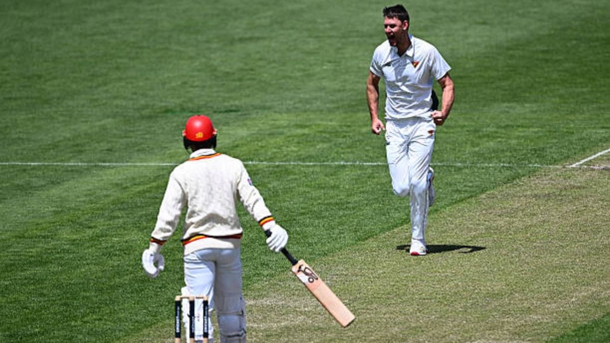 Beau Webster of the Tigers celebrates the wicket of Jake Lehmann of the Redbacks during the day two of the Sheffield Shield match between Tasmania and South Australia at Ninja Stadium