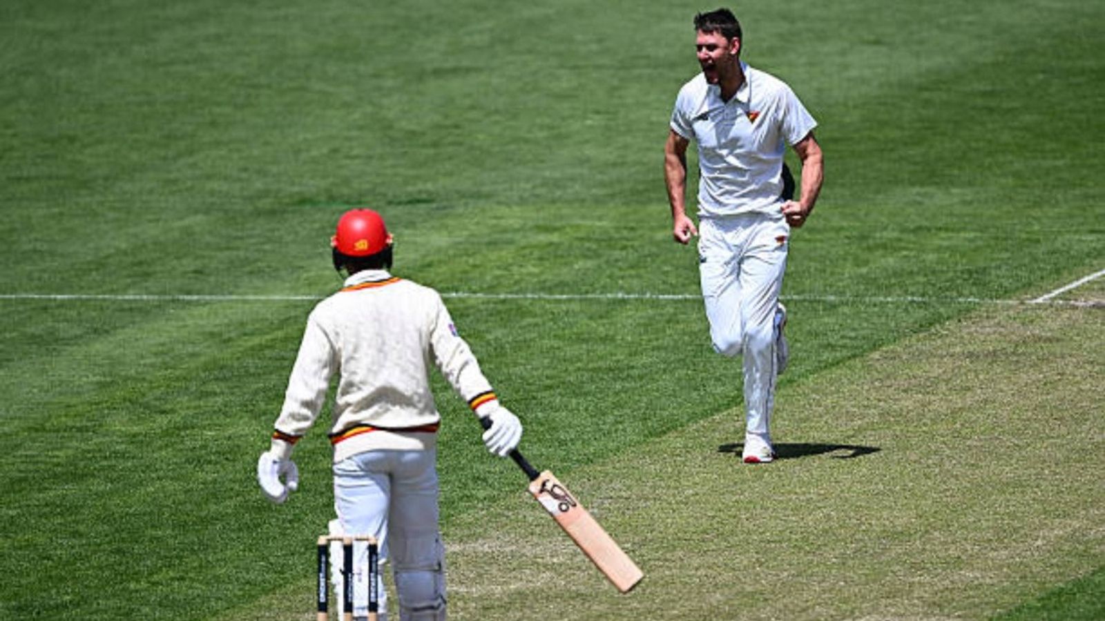 Australia star shines in Sheffield Shield, sends clear message to England batters with fiery 5-fer ahead of The Ashes Beau Webster of the Tigers celebrates the wicket of Jake Lehmann of the Redbacks during the day two of the Sheffield Shield match between Tasmania and South Australia at Ninja Stadium