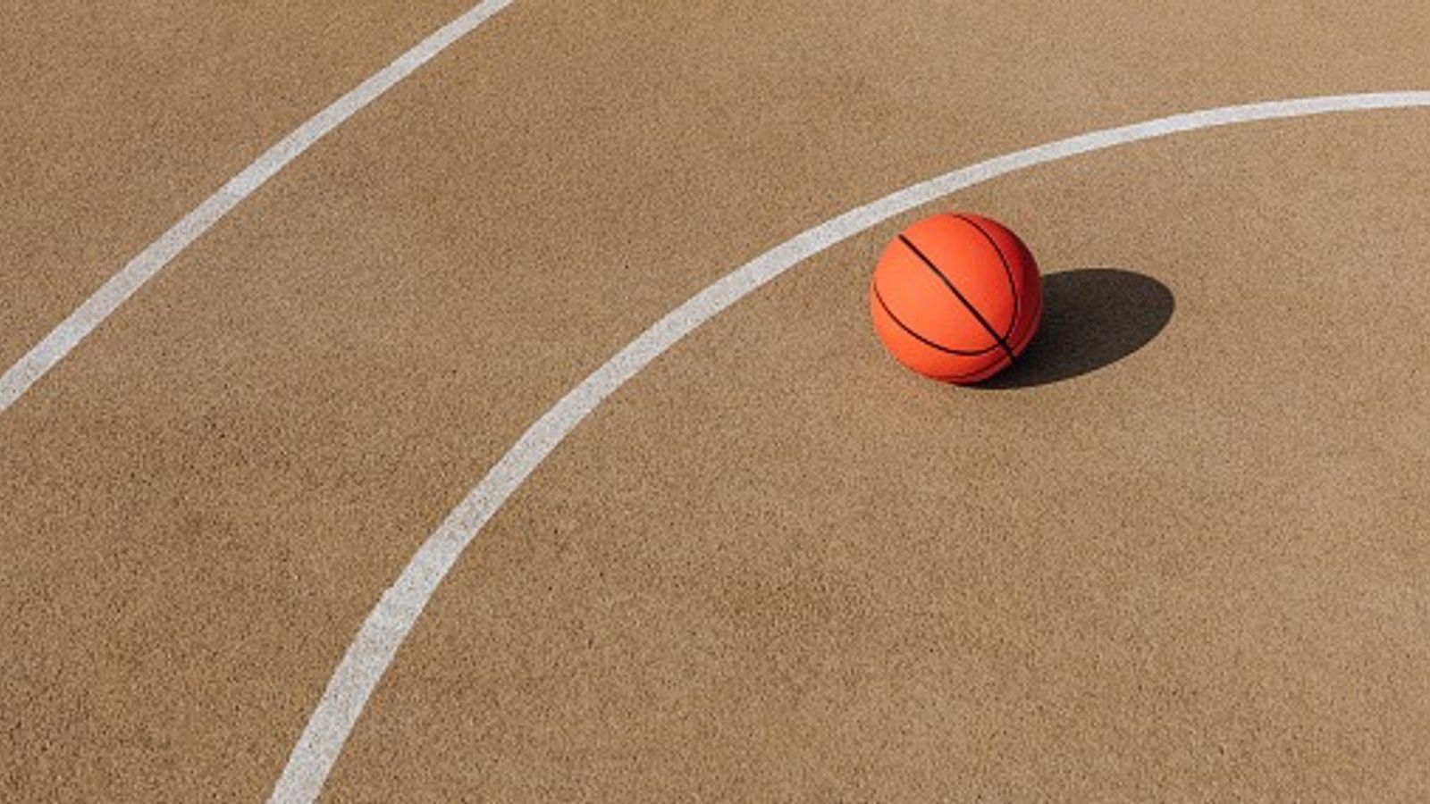 Two Haryana basketball players lose lives after deadly pole collapse during training Two Haryana basketball players lose lives after deadly pole collapse during training