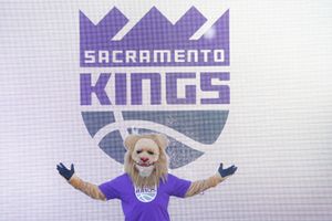 Sacramento Kings Injury Report: Who is sidelined for Timberwolves showdown SportsTak