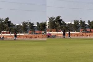 Virat Kohli turns back the clock with fifth Vijay Hazare Trophy century, surpasses Sachin Tendulkar in elite list SportsTak