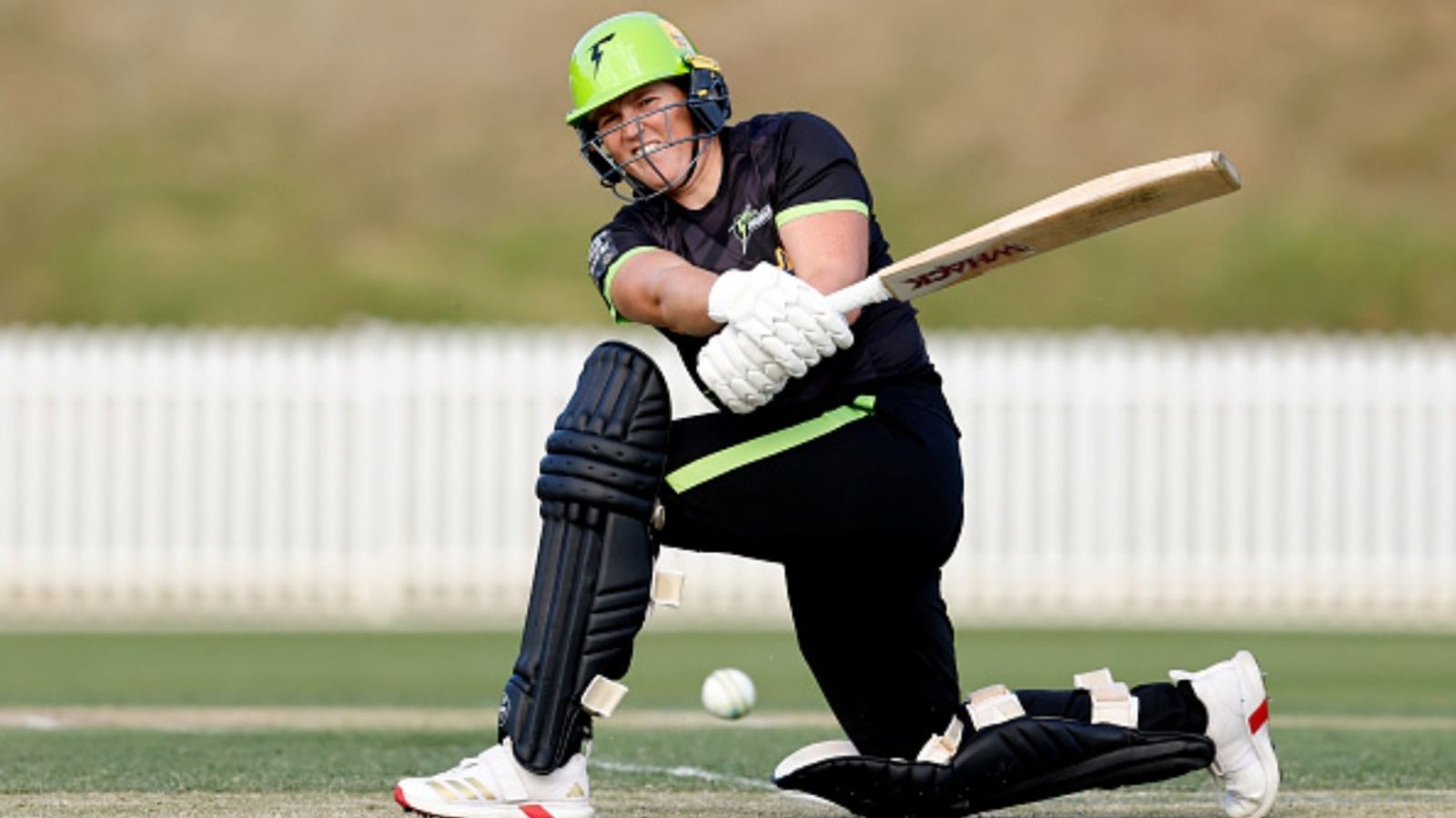 Played just one game for Delhi Capitals, Australia batter smashes joint-fastest fifty in women's T20 history Laura Harris of the Thunder bats during the T20 Spring Challenge match between Sydney Thunder and Adelaide Strikers at Drummoyne Oval, on October 26, 2025.