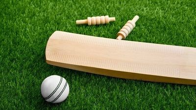 India star with over 9,000 runs arrested for drunk driving after Vadodara accident cricket set: bat ball stumps and bails