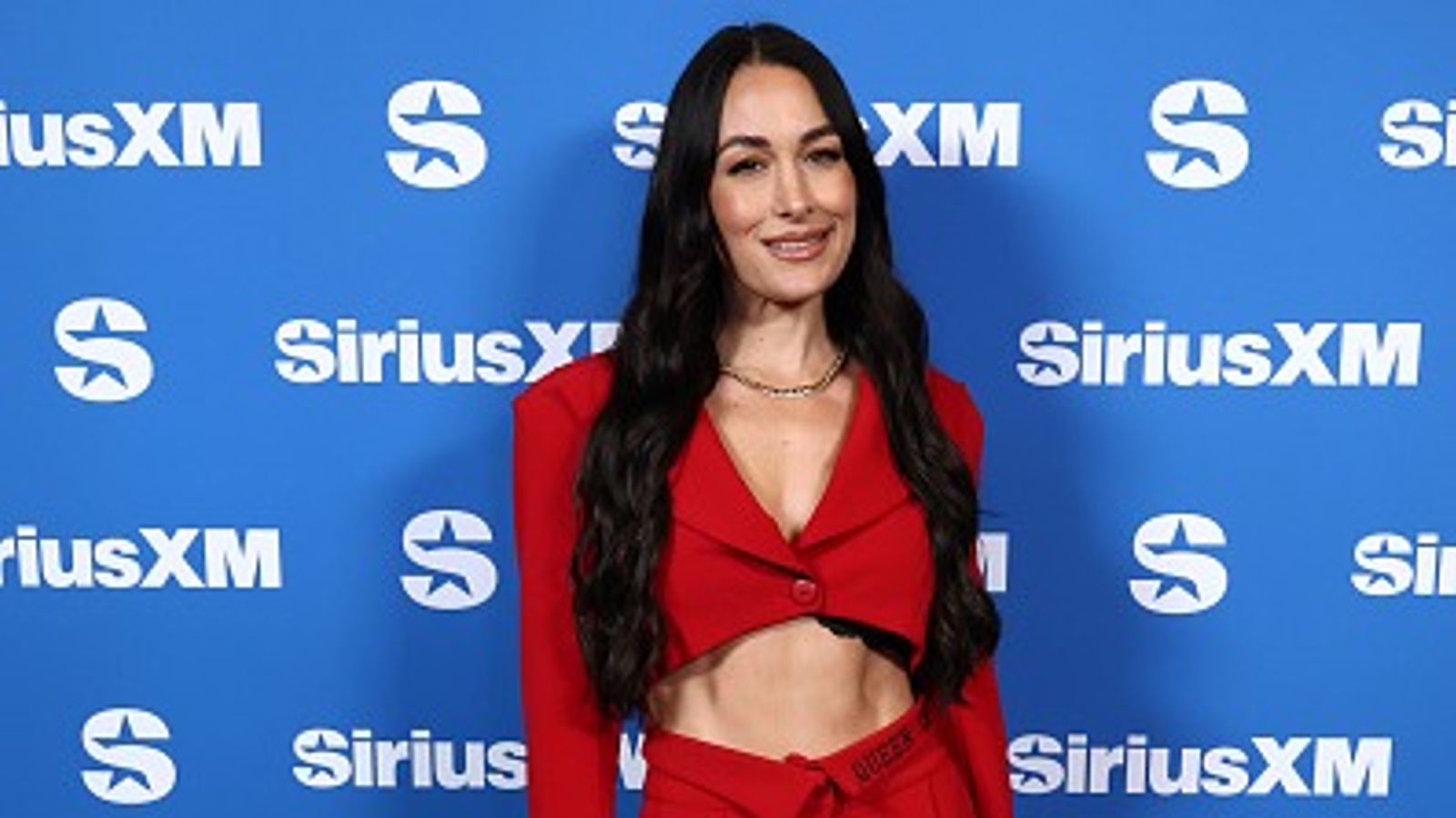 Brie Bella opens up on WWE return, gives insight on Bryan Danielson tribute at Royal Rumble Brie Bella in the frame.