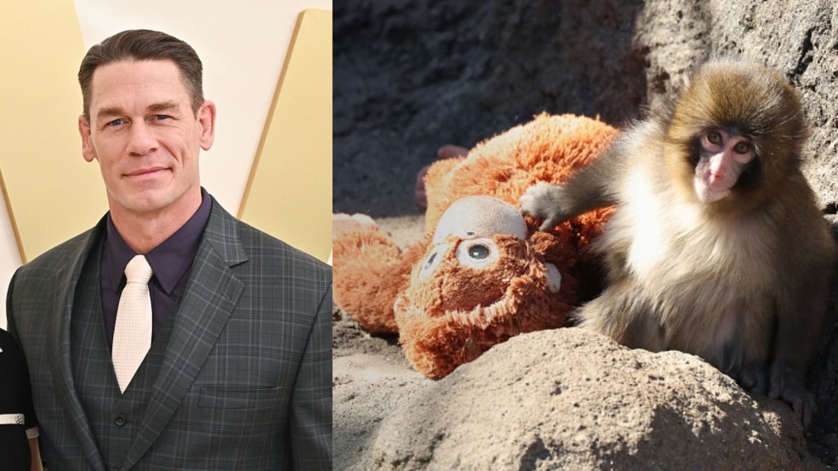 John Cena extends support to ‘Punch’ the monkey after emotional story moves the internet John Cena and Punch the monkey in the frame (via Getty)