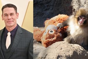 John Cena extends support to ‘Punch’ the monkey after emotional story moves the internet SportsTak