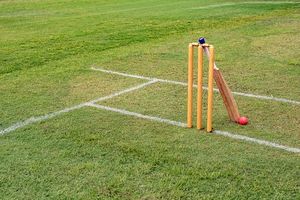 Absolute Carnage! Son blasts 402 off 137 as Father cracks 175 to pile up 590 in 40 overs SportsTak