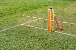 15-year-old batter cracks lightning century to shatter two big World Records on debut, tonks 65-ball 111 SportsTak