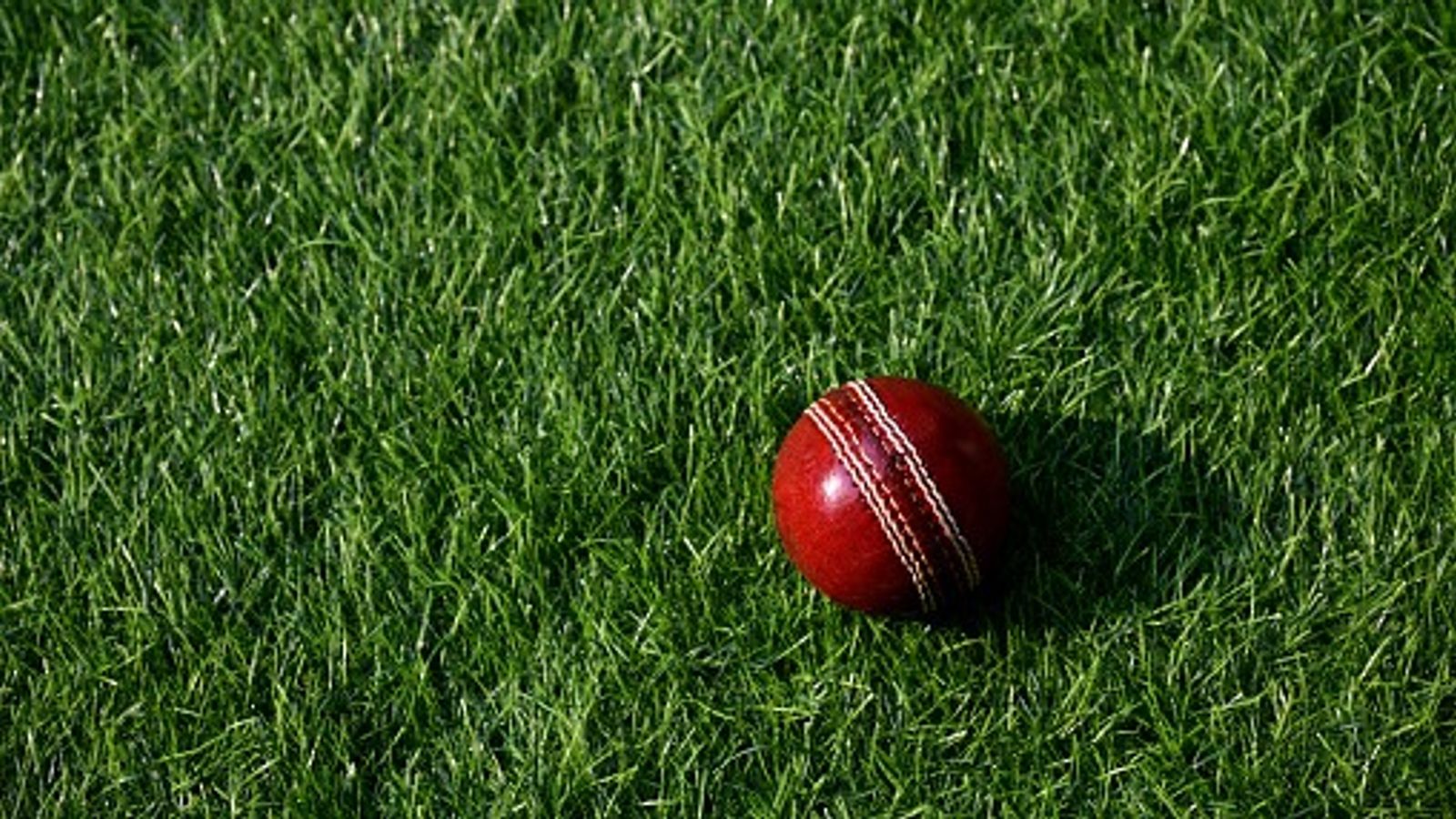 Court jails 30-year-old Australia cricketer over abuse of teenage fan Court jails 30-year-old Australia cricketer over abuse of teenage fan. (Getty)