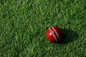 Court jails 30-year-old Australia cricketer over abuse of teenage fan SportsTak