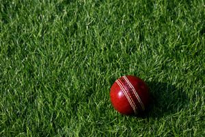 Mumbai Cricket Association to introduce equal annual retainers for men and women players SportsTak