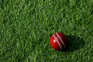 Delhi Capitals player granted bail in alleged rape case 36 days after in jail SportsTak
