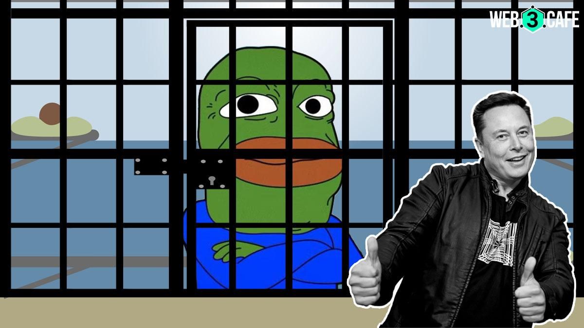 ‘Explain This BOB’ is suspended by Elon Musk