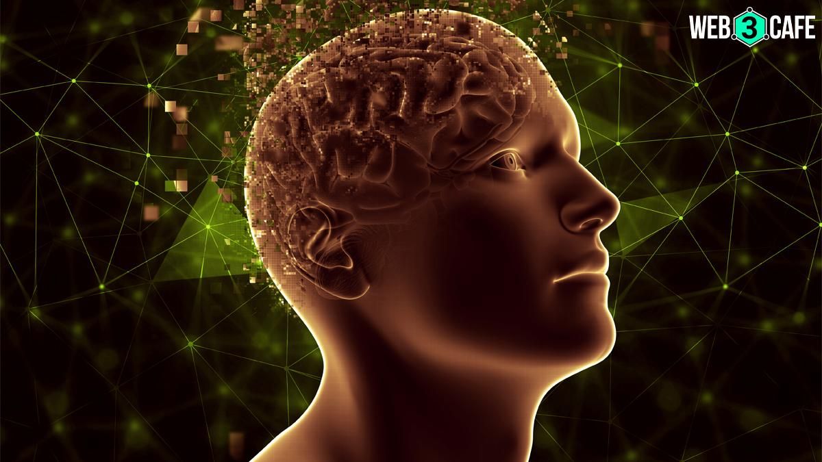 Japanese researchers use MRI to visualise dreams