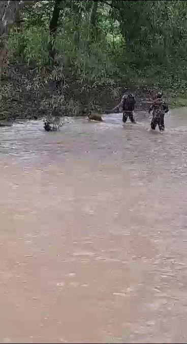 CRPF1