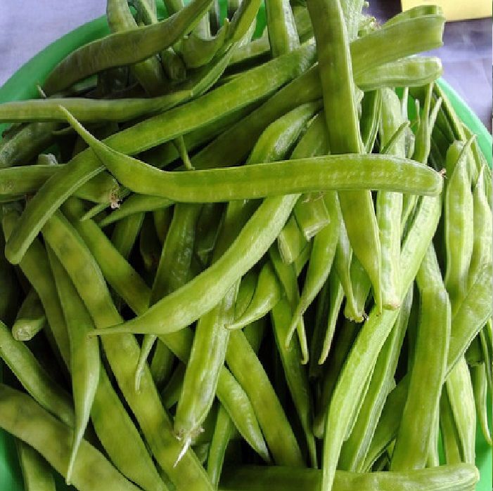 cluster bean 1