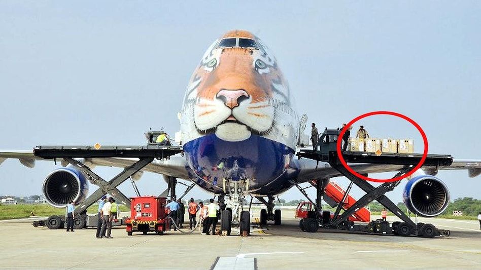 Kuno Park: 49 दिन से छोटे बाड़े में अटके हैं चीते, नहीं निकला खूंखार तेंदुआ