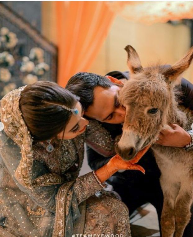 सुहागरात पर पत्नी के लिए गधा लेकर गया पति, वजह हैरान करने वाली