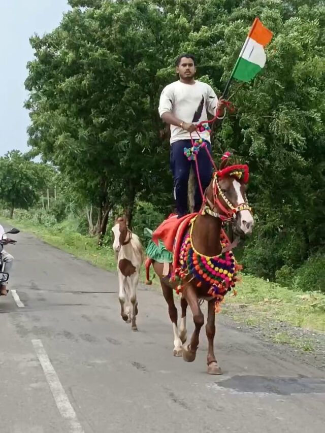 ઘોડે સવારી કરતા-કરતા યુવકે આપી તિરંગાને સલામી