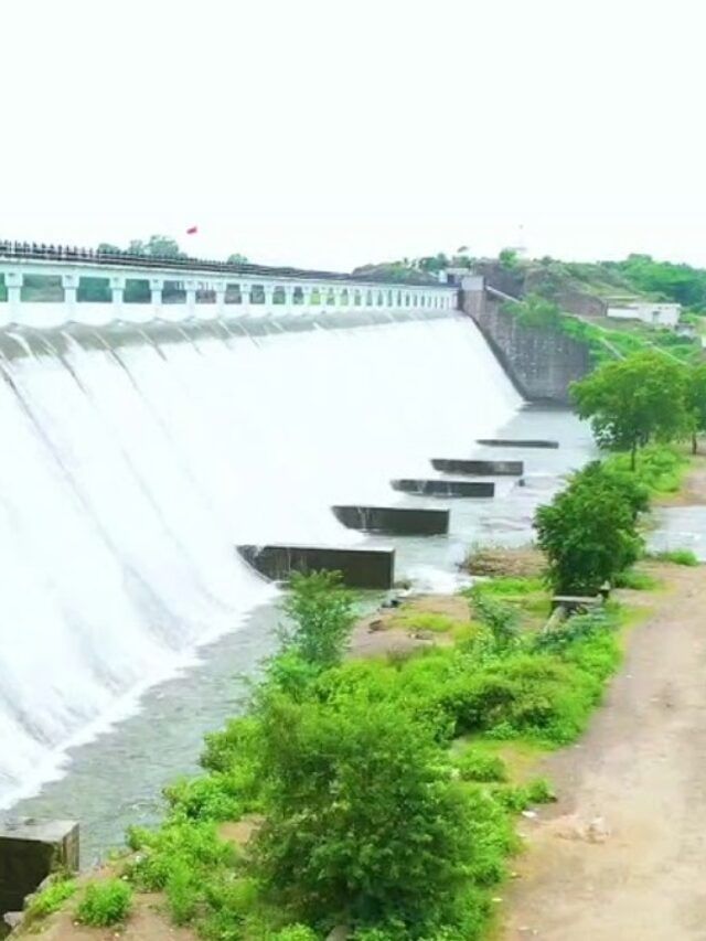 ધોધમાર વરસાદના પગલે રાજકોટના ડેમ ઓવરફ્લો...