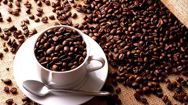 two-smartphone-apps-launched-for-coffee-growers-1536213315