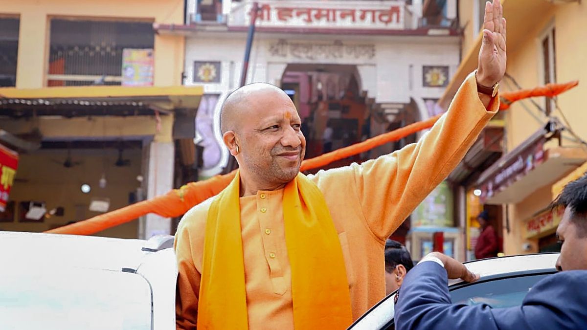 yogi-3-1704996567