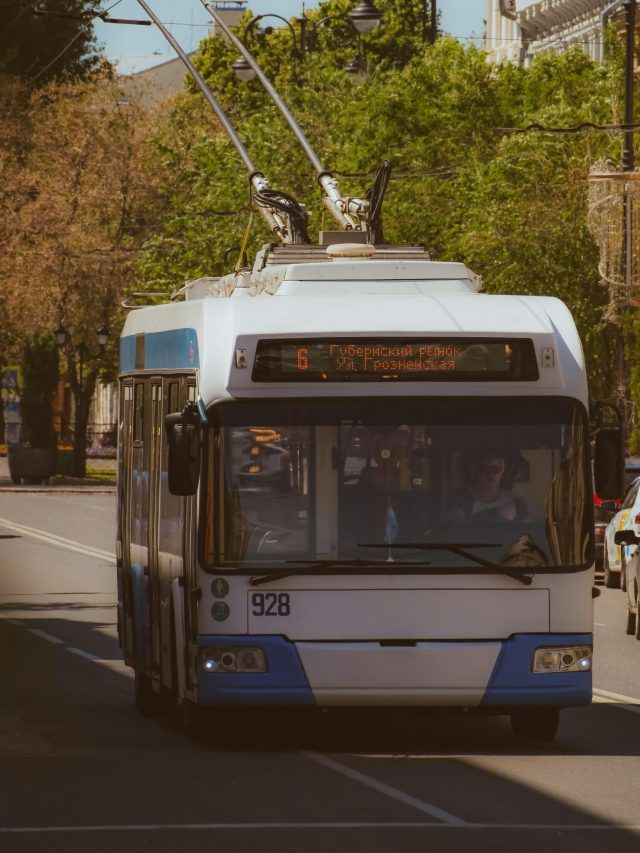 पब्लिक ट्रांसपोर्ट में इलेक्ट्रिक बसों का जलवा