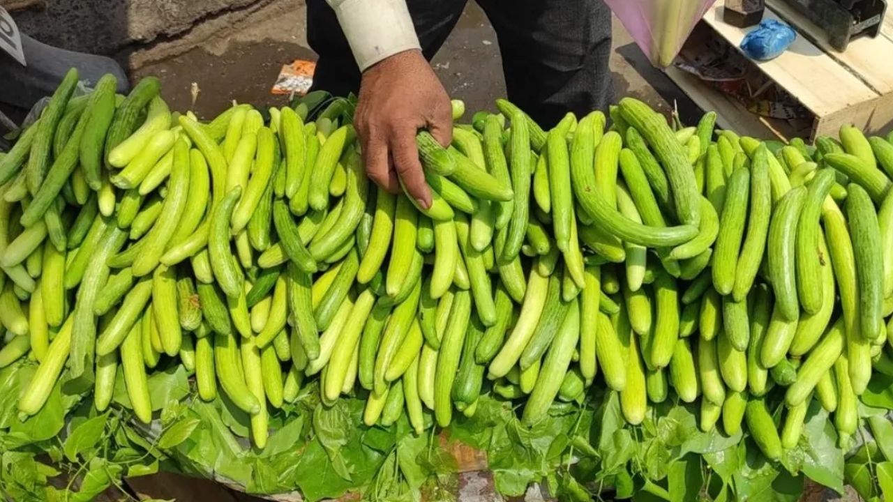In the scorching sun and scorching heat, one thing that is seen most on the streets is the cucumber carts. If you eat a cucumber in summer, you will get relief guaranteed.
