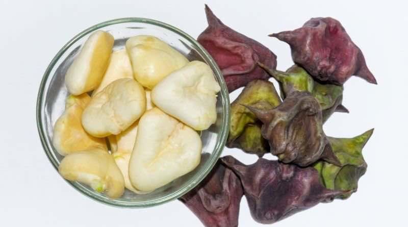 सिंघाड़ा खाने के ये फायदे नहीं जानते होंगे आप! - Water Chestnut Health  Benefits Of Singhara