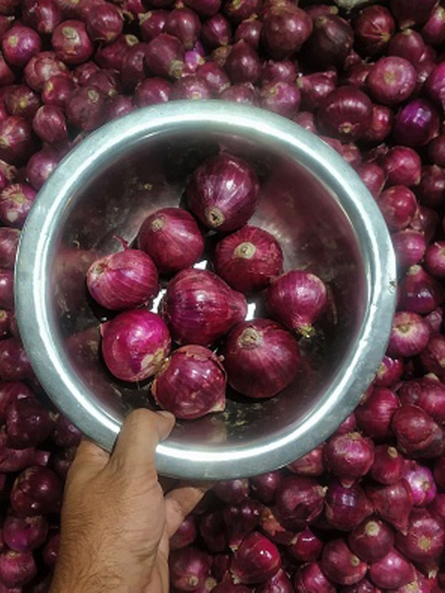 ওজন কমাতে এভাবে খান পেঁয়াজ!