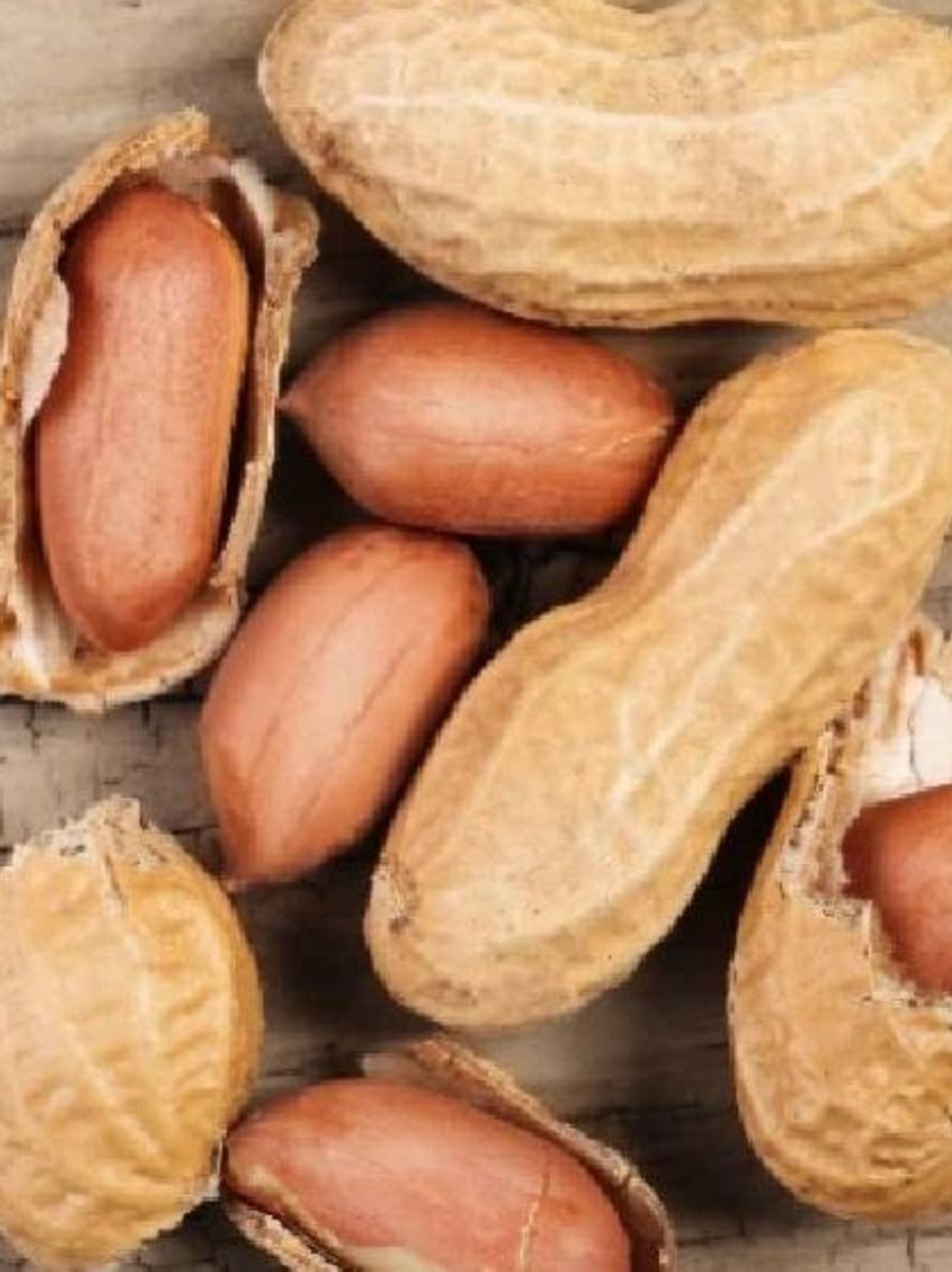 গেঁটেবাত-সহ এই ৫ রোগে বিষ চিনাবাদাম