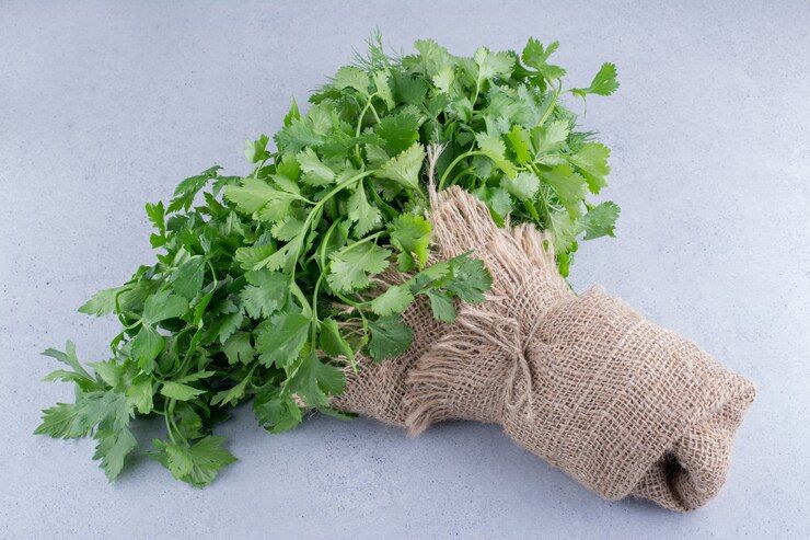 धनिया पत्ती को लंबे समय तक ऐसे रखें फ्रेश - Coriander leaves storage tips  in winters dhaniya patti ko galne se kaise bachaye lbsv