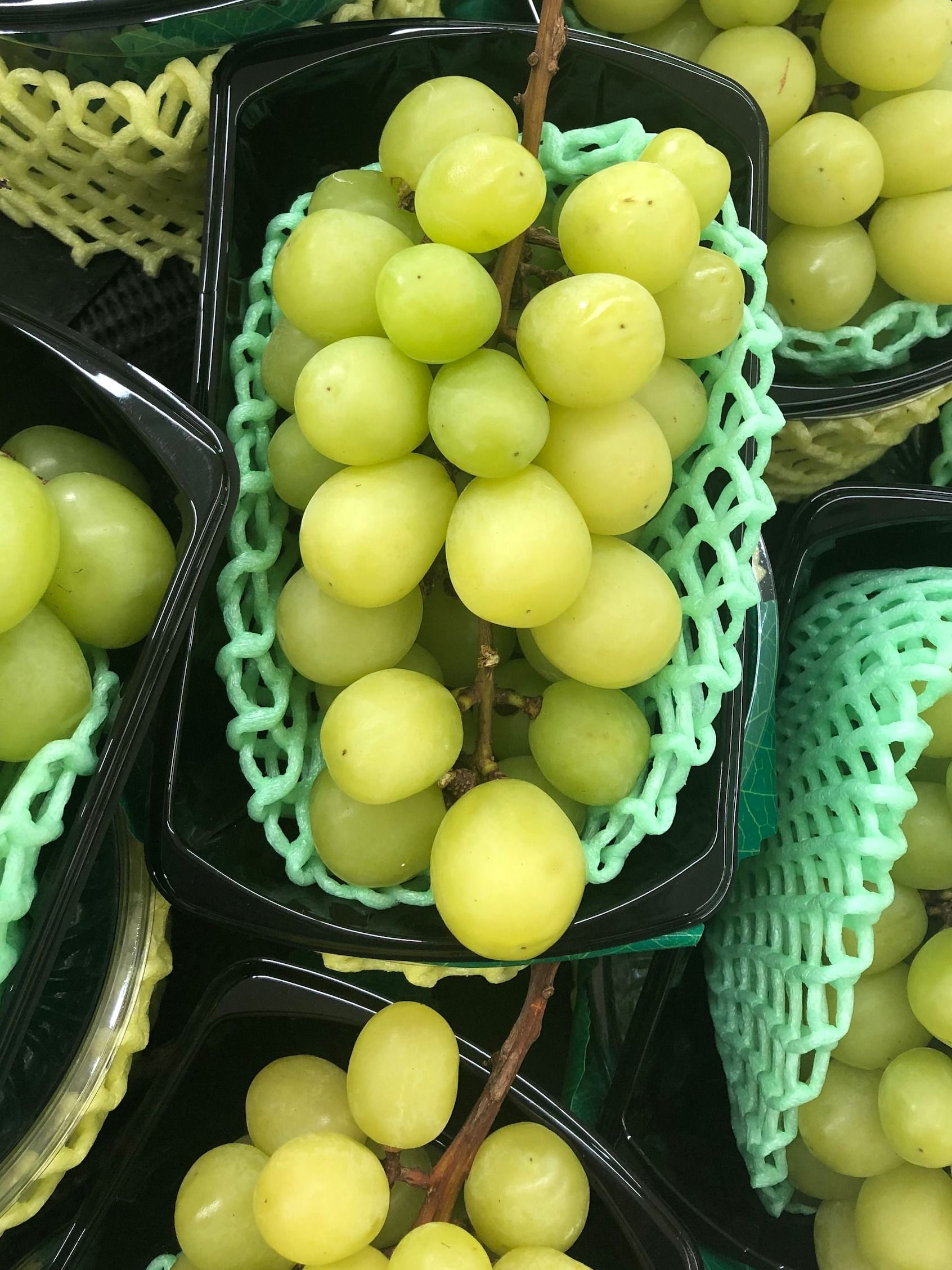 अंगूर खाने के हैं कई अचूक फायदे...कोलेस्ट्रॉल कम करने और हड्डी मजबूत करने में भी मददगार