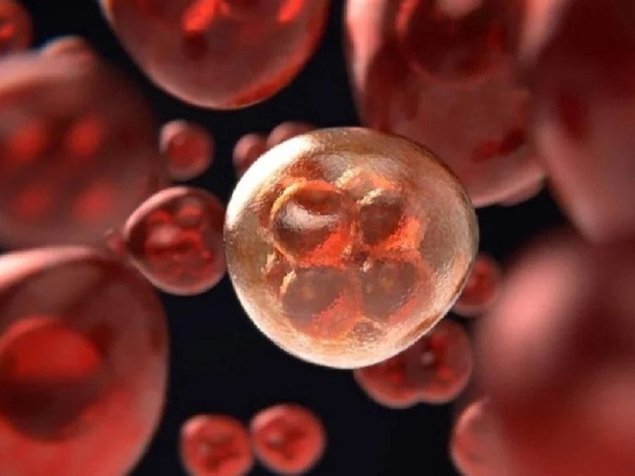 भारत में बढ़ रहे इस कैंसर के मामले, समय से पहचान लें लक्षण